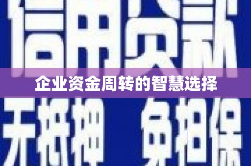 大溪企业资金周转的智慧选择