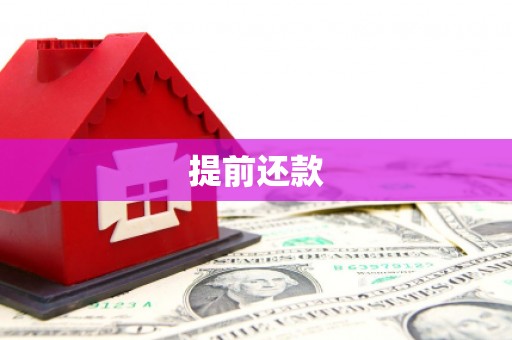 大溪提前还款