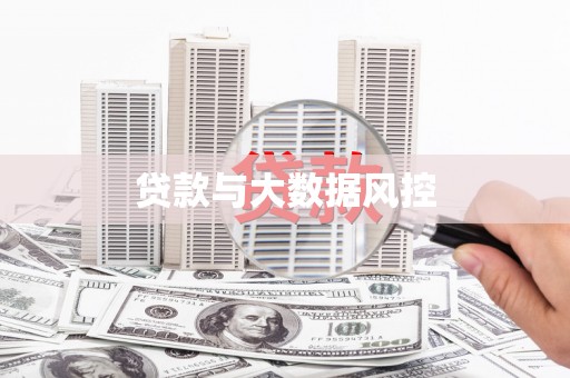 大溪贷款与大数据风控