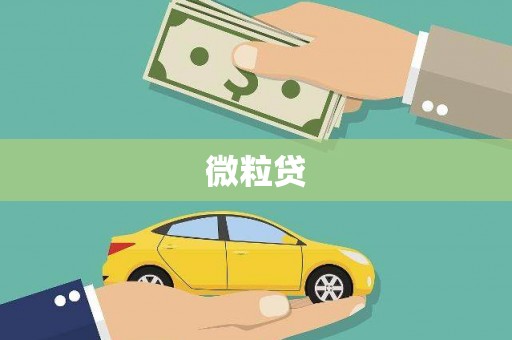 大溪微粒贷