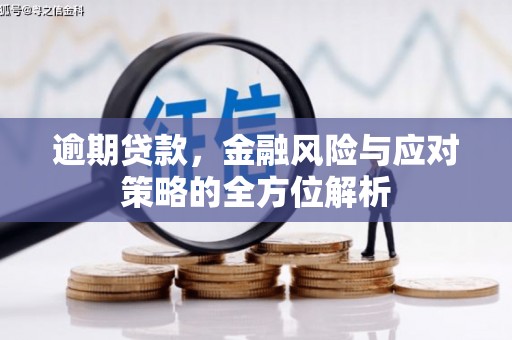 大溪逾期贷款，金融风险与应对策略的全方位解析