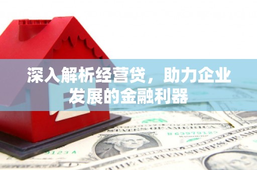 大溪深入解析经营贷，助力企业发展的金融利器