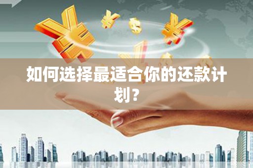 大溪如何选择最适合你的还款计划？