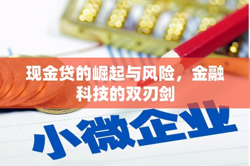 大溪现金贷的崛起与风险，金融科技的双刃剑