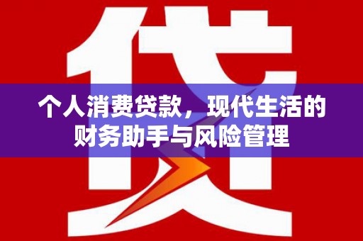 大溪个人消费贷款，现代生活的财务助手与风险管理