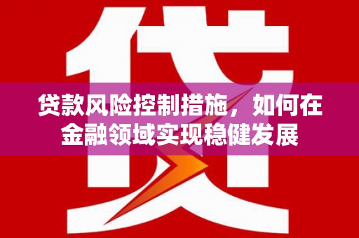 大溪贷款风险控制措施，如何在金融领域实现稳健发展