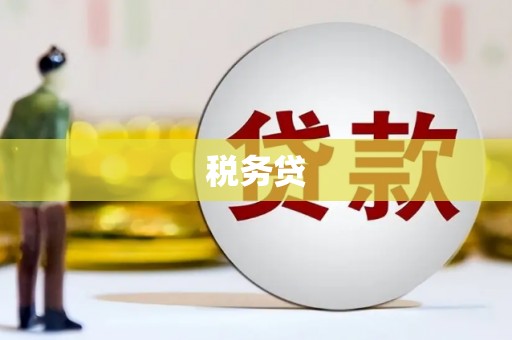 大溪税务贷