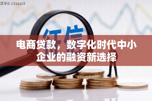 大溪电商贷款，数字化时代中小企业的融资新选择
