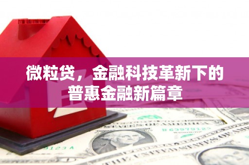 大溪微粒贷，金融科技革新下的普惠金融新篇章