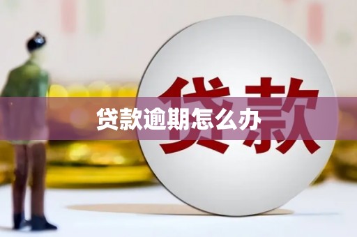 大溪贷款逾期怎么办