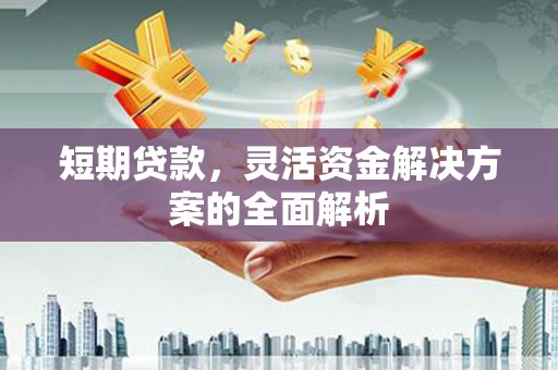 大溪短期贷款，灵活资金解决方案的全面解析