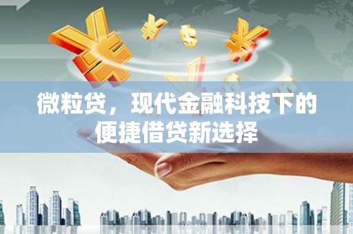 大溪微粒贷，现代金融科技下的便捷借贷新选择