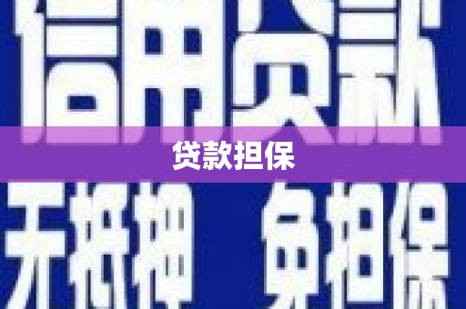 大溪贷款担保