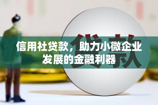 大溪信用社贷款，助力小微企业发展的金融利器