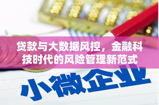 大溪贷款与大数据风控，金融科技时代的风险管理新范式