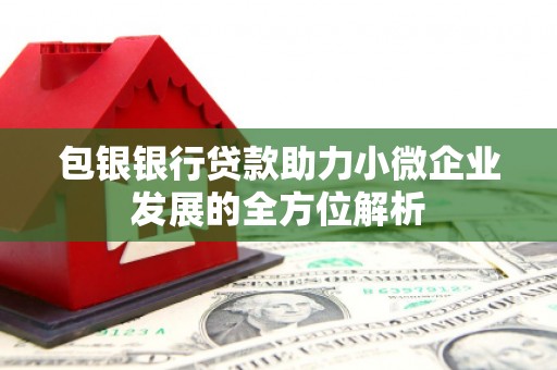 大溪包银银行贷款助力小微企业发展的全方位解析
