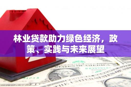 大溪林业贷款助力绿色经济，政策、实践与未来展望