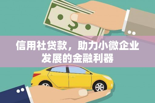 大溪信用社贷款，助力小微企业发展的金融利器