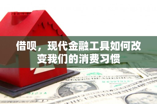 大溪借呗，现代金融工具如何改变我们的消费习惯