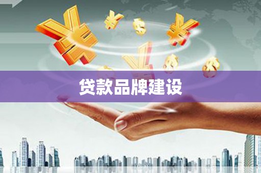 大溪贷款品牌建设