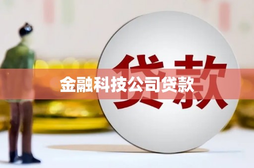 大溪金融科技公司贷款
