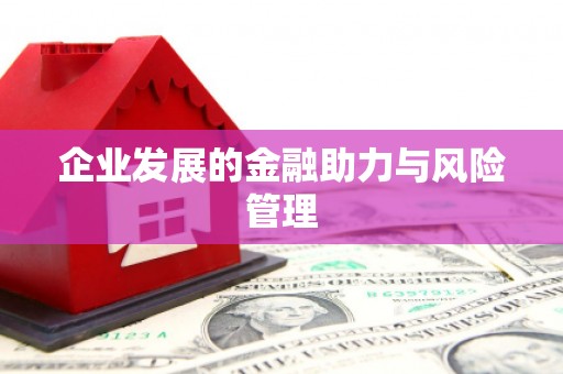 大溪企业发展的金融助力与风险管理