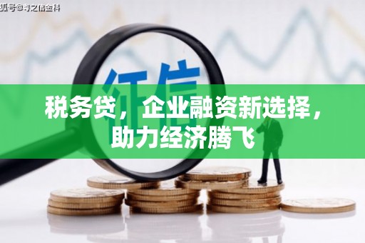 大溪税务贷，企业融资新选择，助力经济腾飞