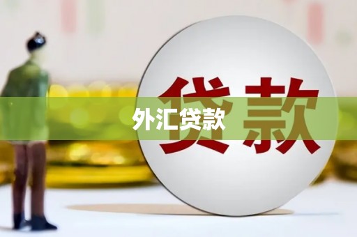 大溪外汇贷款