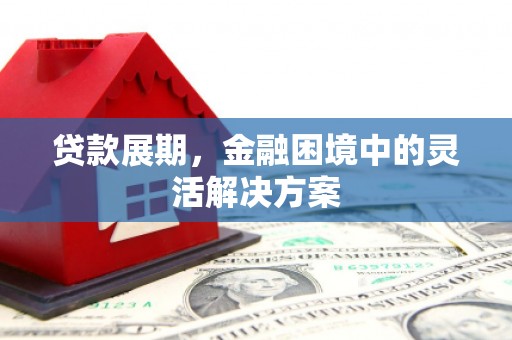 大溪贷款展期，金融困境中的灵活解决方案