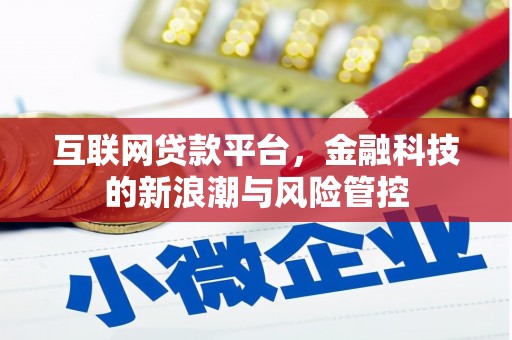 大溪互联网贷款平台，金融科技的新浪潮与风险管控