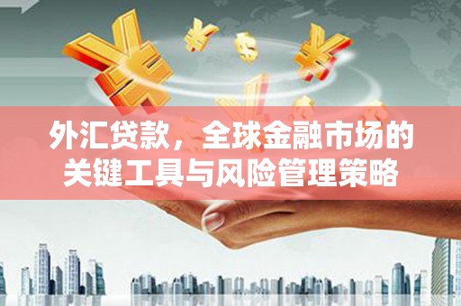 大溪外汇贷款，全球金融市场的关键工具与风险管理策略