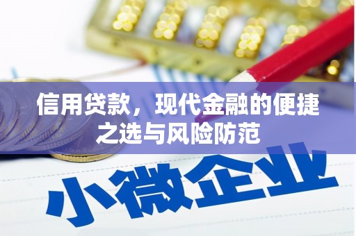 大溪信用贷款，现代金融的便捷之选与风险防范