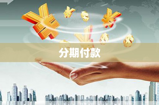 大溪分期付款