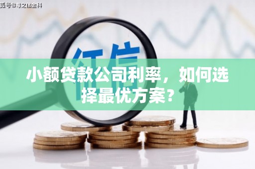 大溪小额贷款公司利率，如何选择最优方案？