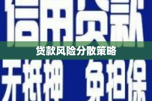 大溪贷款风险分散策略
