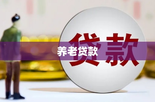 大溪养老贷款
