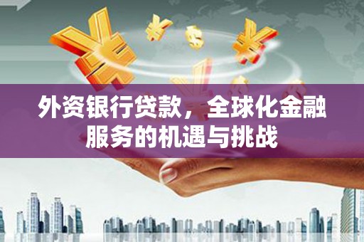 大溪外资银行贷款，全球化金融服务的机遇与挑战