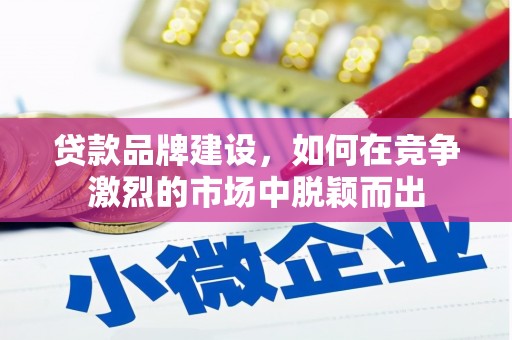 大溪贷款品牌建设，如何在竞争激烈的市场中脱颖而出