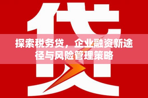 大溪探索税务贷，企业融资新途径与风险管理策略