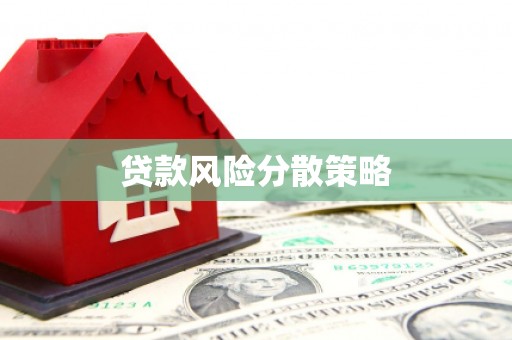 大溪贷款风险分散策略