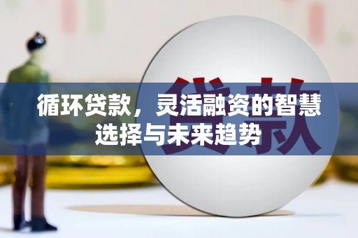 大溪循环贷款，灵活融资的智慧选择与未来趋势