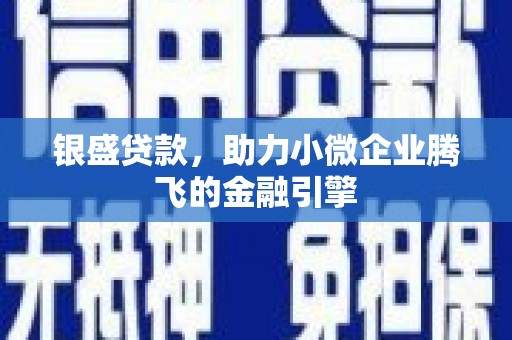 大溪银盛贷款，助力小微企业腾飞的金融引擎