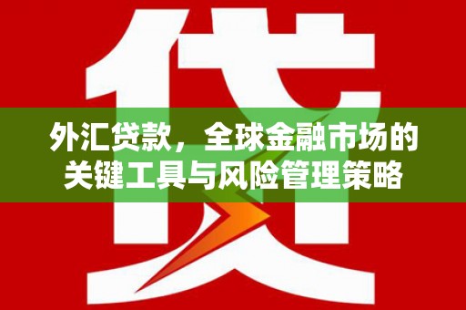 大溪外汇贷款，全球金融市场的关键工具与风险管理策略