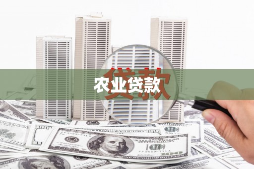 大溪农业贷款