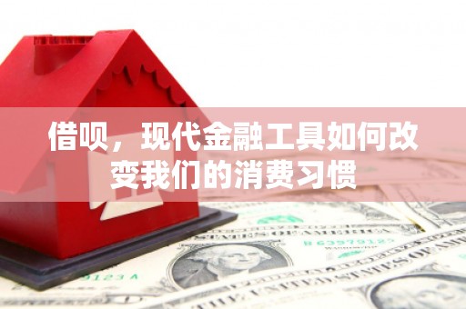 大溪借呗，现代金融工具如何改变我们的消费习惯