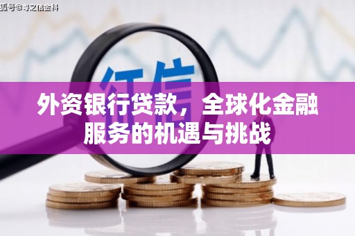 大溪外资银行贷款，全球化金融服务的机遇与挑战