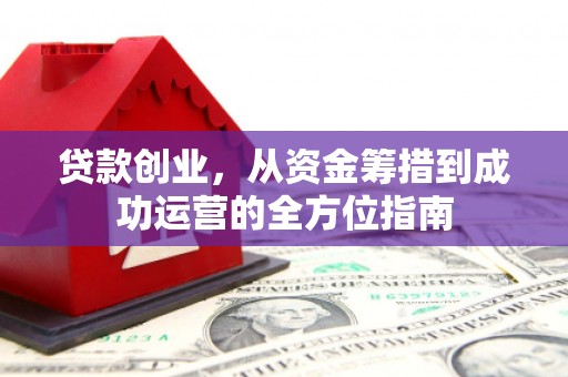 大溪贷款创业，从资金筹措到成功运营的全方位指南