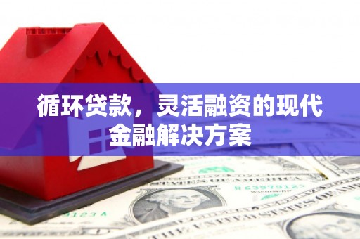 大溪循环贷款，灵活融资的现代金融解决方案