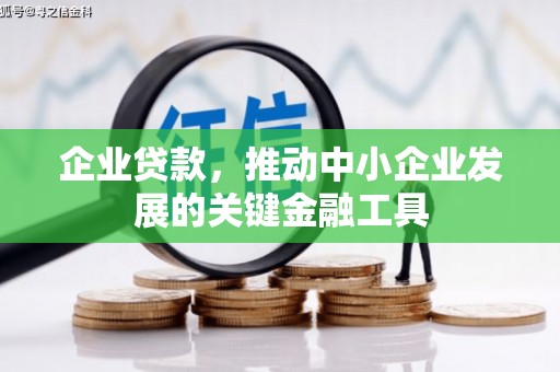 大溪企业贷款，推动中小企业发展的关键金融工具