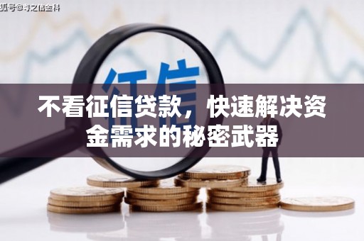 大溪不看征信贷款，快速解决资金需求的秘密武器